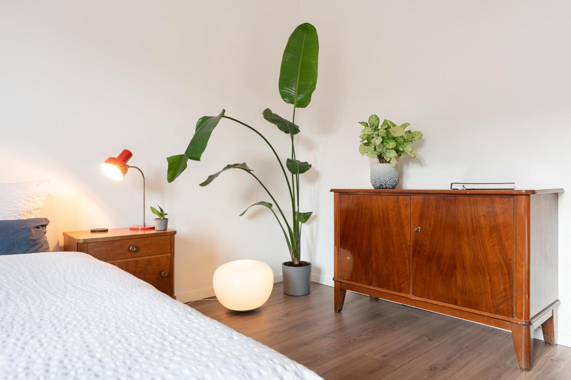 ארפורט Luxurioeses Apartment, 10Min Innenstadt, Parkplatz מראה חיצוני תמונה